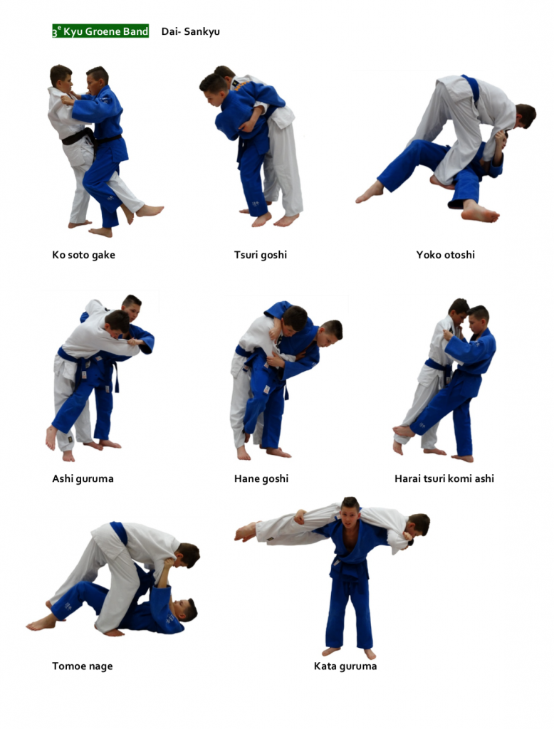 Judo Judo en Jiu Jitsu
